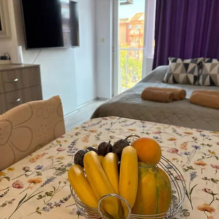 Soleil Bleu Beachfront Getaway - Beachfront With Sea View - Airport Meet & Greet - Free Parking - Apartment Nesebar